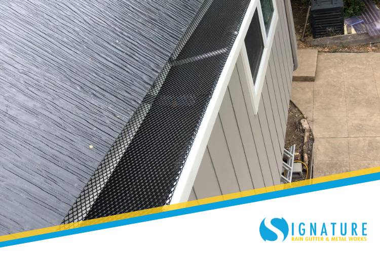 Spring is the most favorable time of year for Gilroy gutter services.
