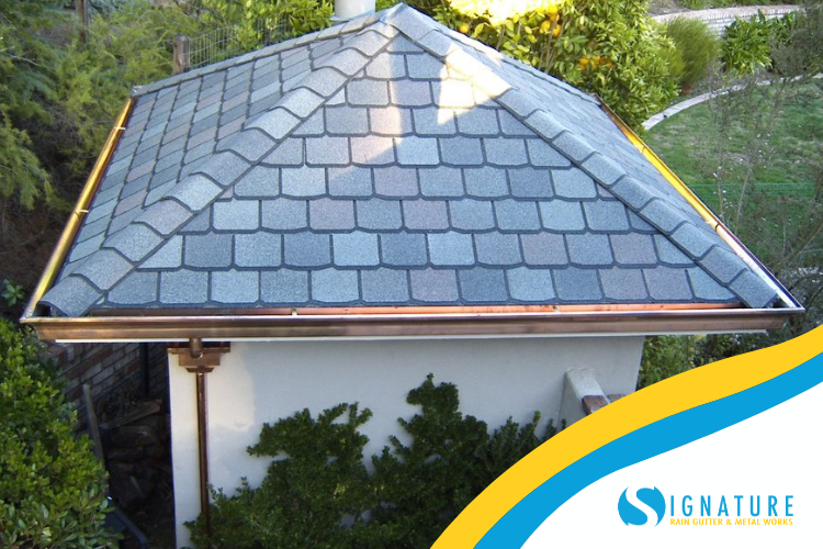 San Martin gutter services