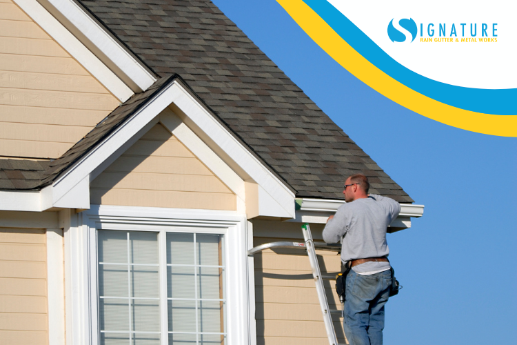 What You Need to Know About Gutters and Downspouts