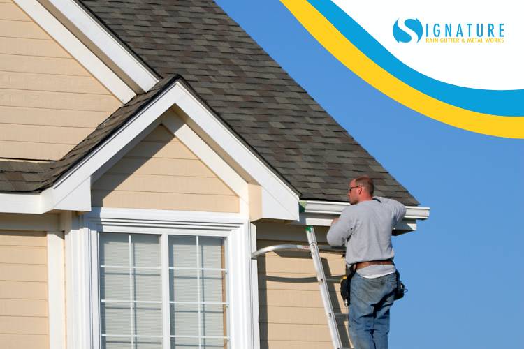 What You Need to Know About Gutters and Downspouts