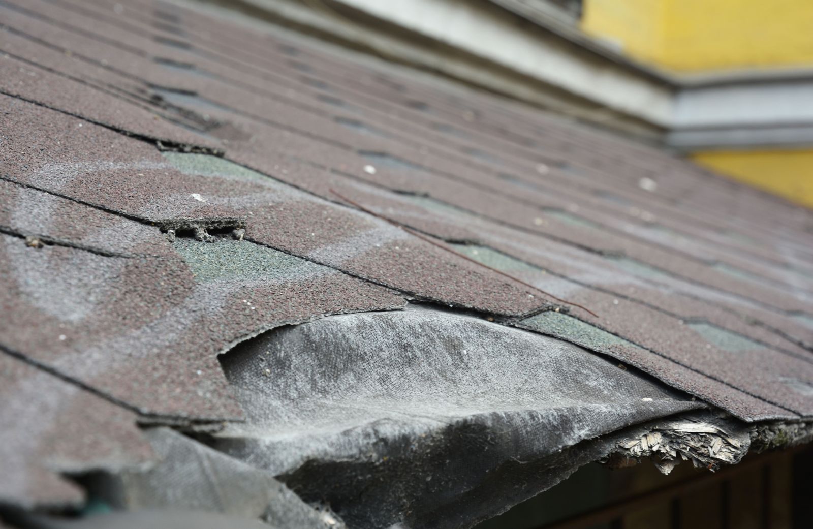 Signature Rain Gutters & Metal Works Images